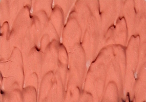 Flamingo.