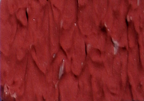 Cardinal.